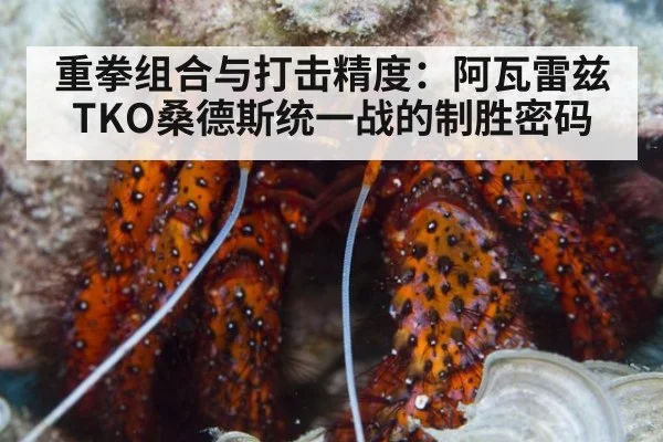 重拳组合与打击精度：阿瓦雷兹TKO桑德斯统一战的制胜密码